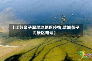 【江苏条子泥湿地地区疫情,盐城条子泥景区电话】