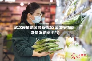 武汉疫情地区最新情况(武汉疫情最新情况地图平台)