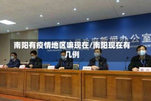 南阳有疫情地区嘛现在/南阳现在有几例