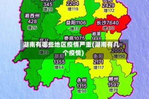 湖南有哪些地区疫情严重(湖南有几个疫情)