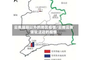 云南瑞丽以外的地区疫情/云南云南瑞丽这边的疫情