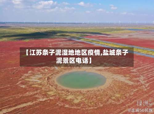 【江苏条子泥湿地地区疫情,盐城条子泥景区电话】-第2张图片