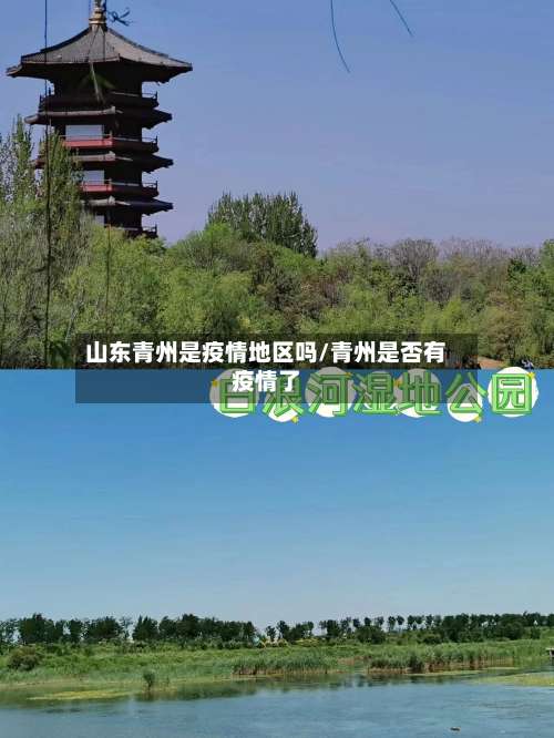 山东青州是疫情地区吗/青州是否有疫情了-第2张图片