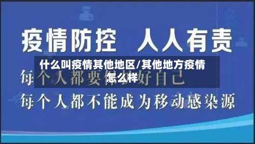 什么叫疫情其他地区/其他地方疫情怎么样-第3张图片