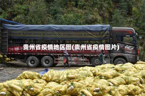 贵州省疫情地区图(贵州省疫情图片)-第2张图片