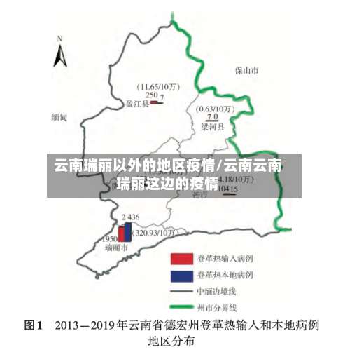 云南瑞丽以外的地区疫情/云南云南瑞丽这边的疫情-第1张图片