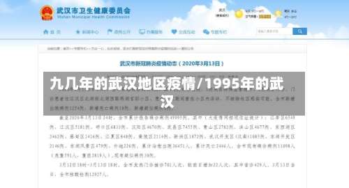 九几年的武汉地区疫情/1995年的武汉-第2张图片