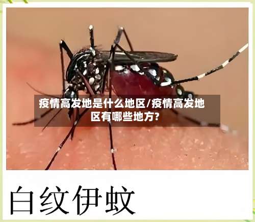 疫情高发地是什么地区/疫情高发地区有哪些地方?-第1张图片